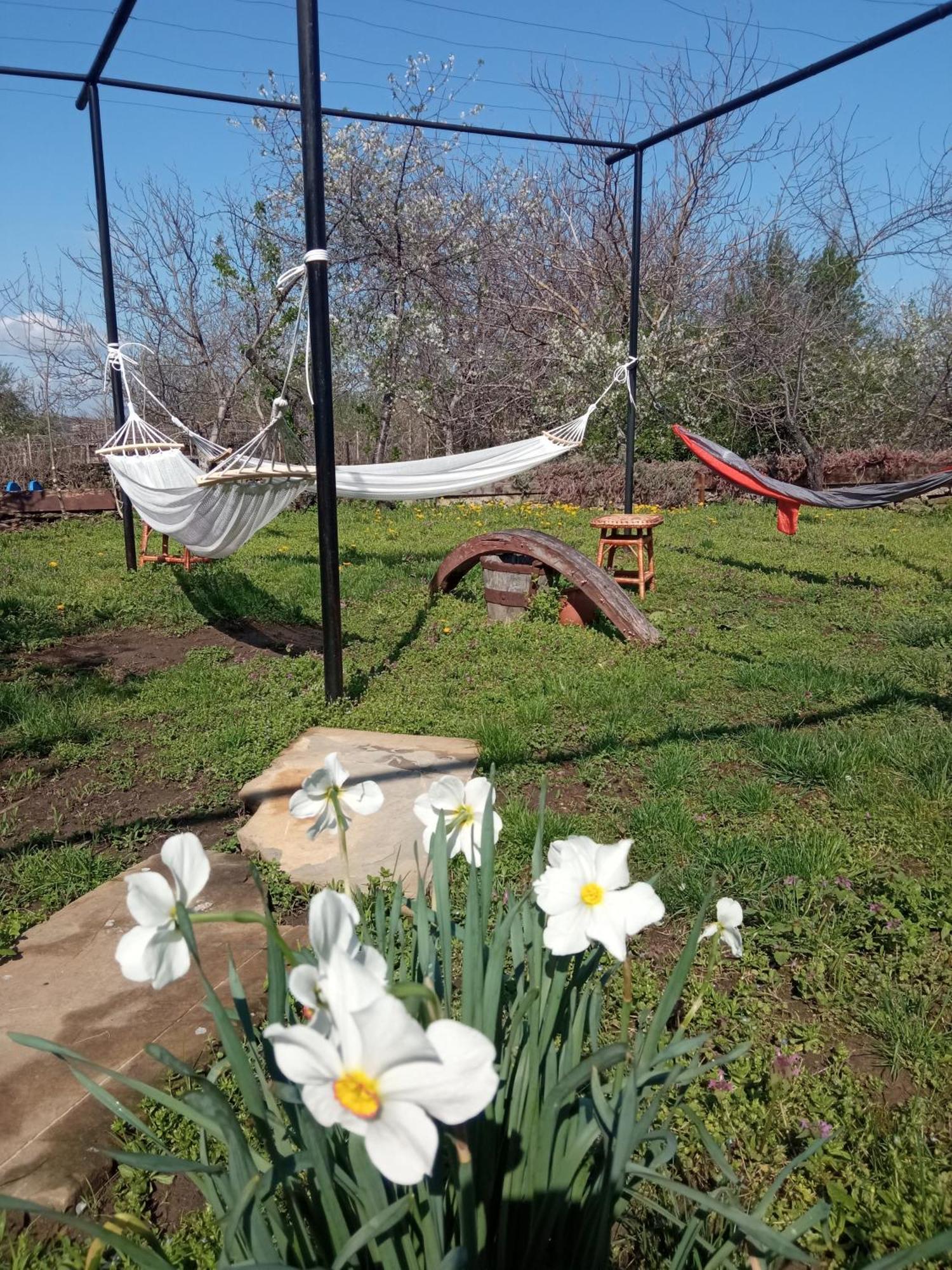 Guest House Art Eco Land Ganchovets 외부 사진