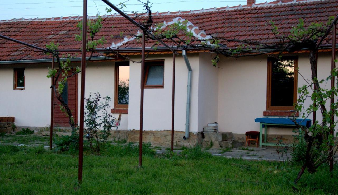 Guest House Art Eco Land Ganchovets 외부 사진